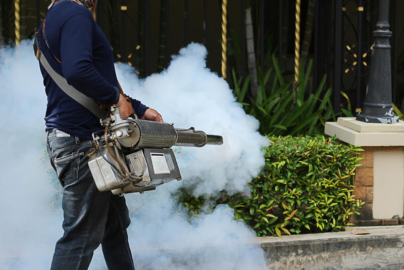 Pest Control Eastern Suburbs Exterminator