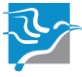 East Coast Conveyancing: Toukley