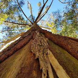 Sydney Landscape Consultants