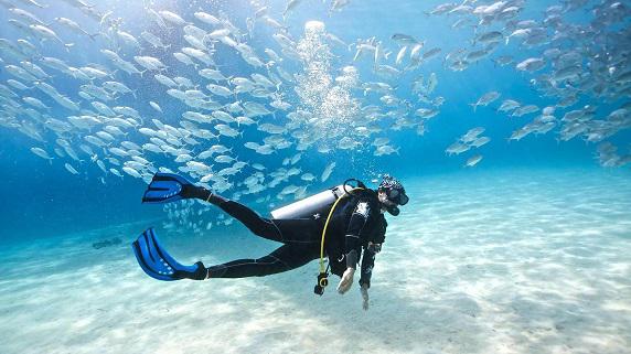 Dive Warehouse