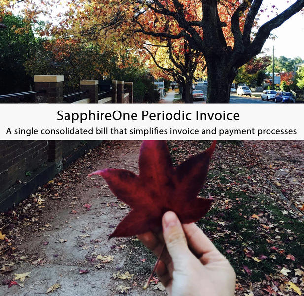 SapphireOne Pty Ltd