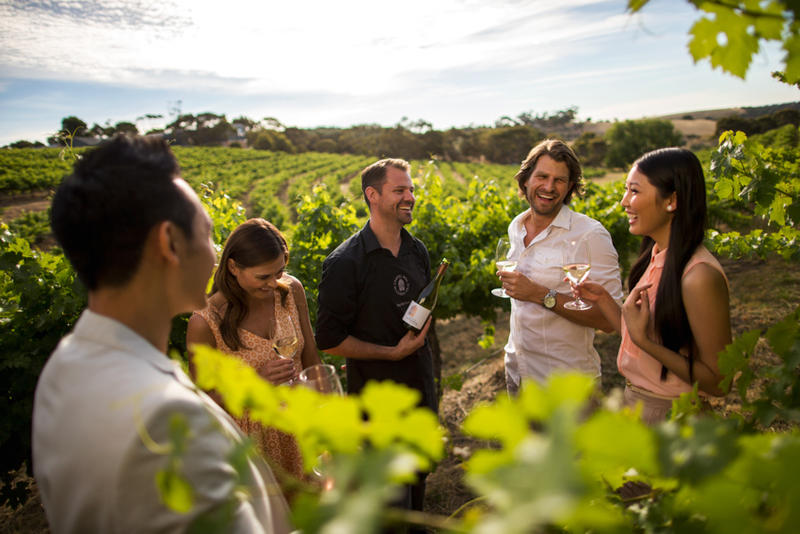Spirit of the Fleurieu Tours