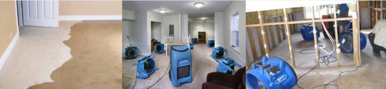 Capital Restoration Cleaning
