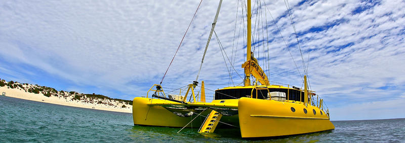 Charter 1: North Fremantle