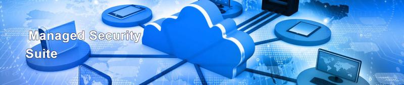 IT Management Associates