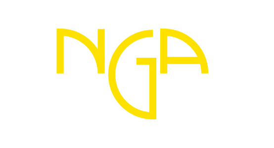 NGA Auto Group