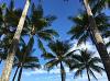 Palm Cove Holiday Rentals