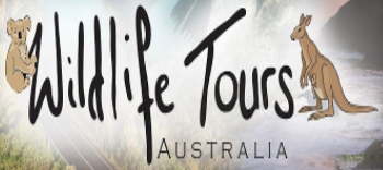 Wildlife Tours Australia: Williamstown