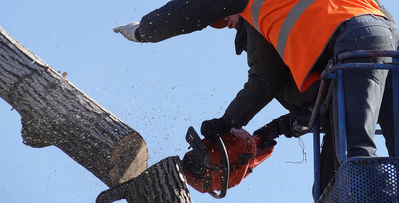 John's Tree Lopping logo