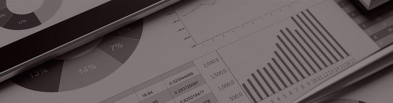 Adept Financial Auditing