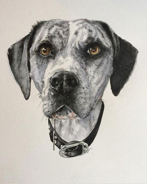 Animal Portraits by LM Marsh