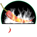 Spicy Affair Bar & Restaurant logo