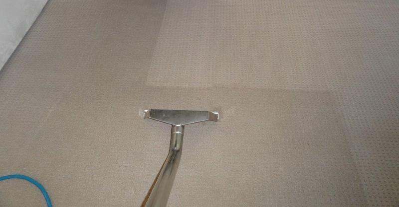 Carpet Cleaners North Shore