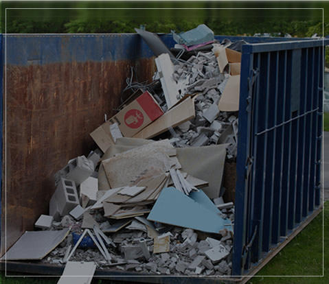 True Bin Hire