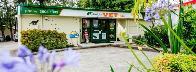 Daisy Hill Veterinary Clinic