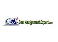 Best Assignment Expert