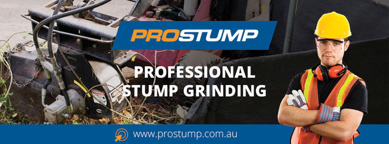Prostump
