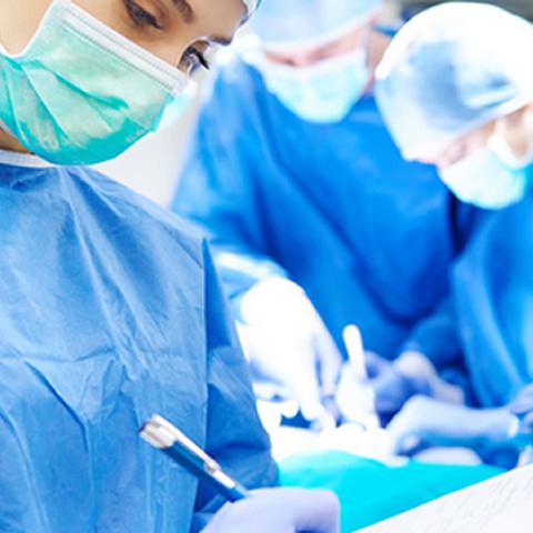 Vet & Pet Jobs