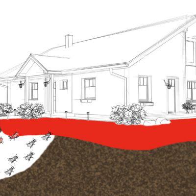 Earth Termite & Pest Control