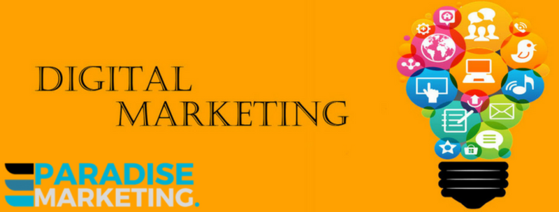 Paradise Marketing