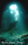 Dolphin Dive Fremantle: Hampton Rd