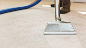 Northern Beaches Carpet Cleaning