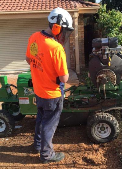 Green & Gold Tree Services Pty Ltd