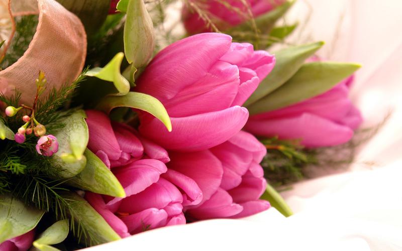 Flowers And Petals