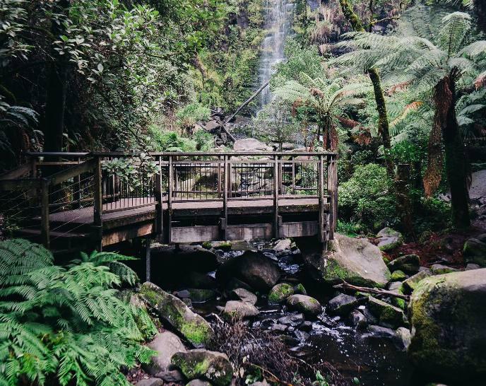 Great Ocean Road Private Luxury Tours