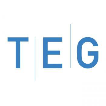 The Electrical Group
