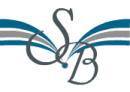 SilverBook Accounting