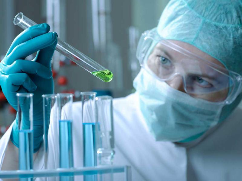 Equine Blood Solutions
