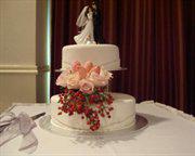 Tasty Cakes N Things
