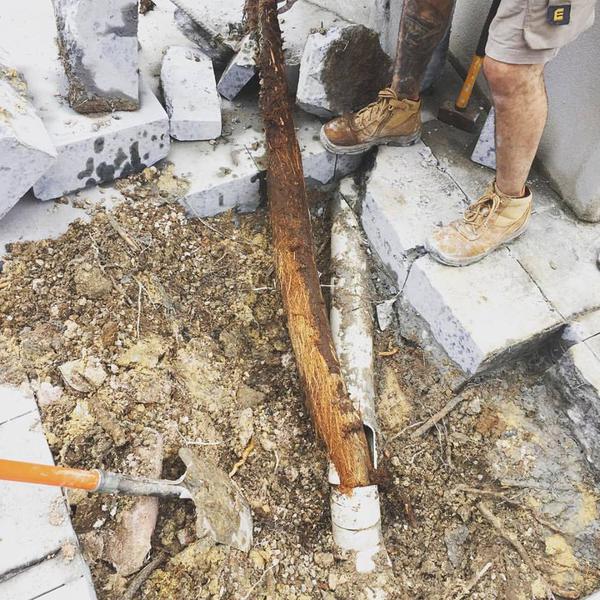 Fixed Today Plumbing