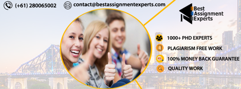 Best Assignment Experts
