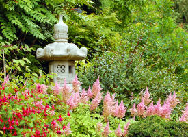 Brisbane Landscaper