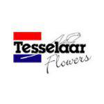 Tesselaar Flowers: Melbourne