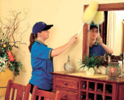 James' Home Services: Mount Hutton