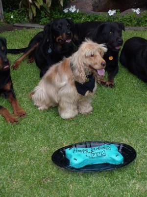 Diamond Dog Food & Bakery