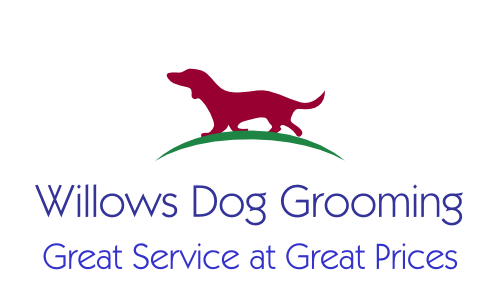 Willows Dog Grooming