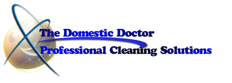 The Domestic Doctor
