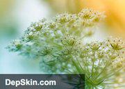 Depilation and Skin Care Pty Ltd