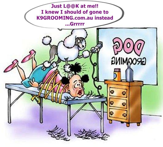 K9 Health & Grooming