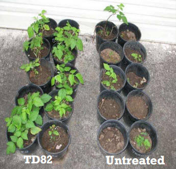 Biocontrol Australia Pty Ltd