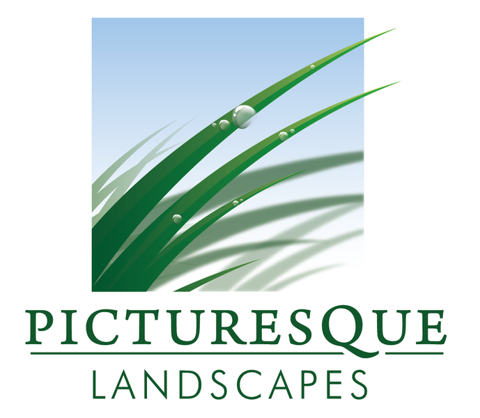 Picturesque Landscapes