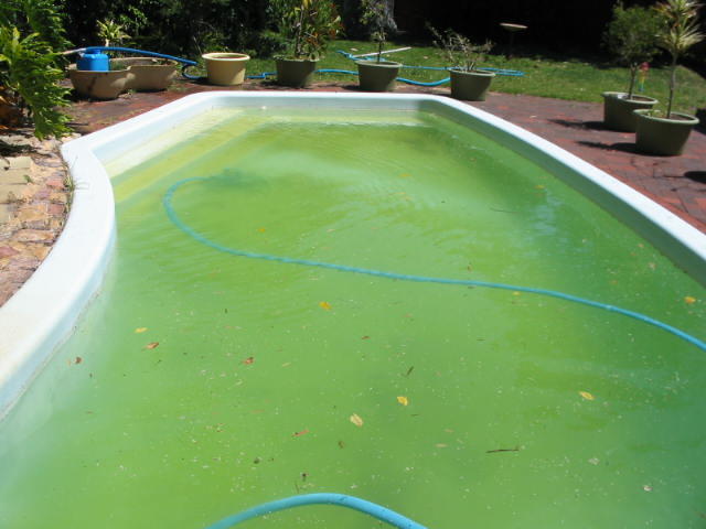 New Life Pool Restorations