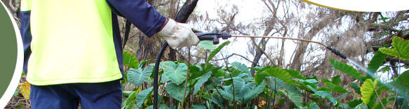 Martins Environmental Services
