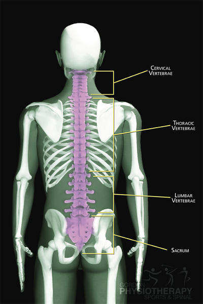 Gordon Physiotherapy Sports & Spinal
