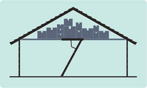 Roofstore Access Ladders: Everton Park
