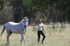 Chittering Gully Stud